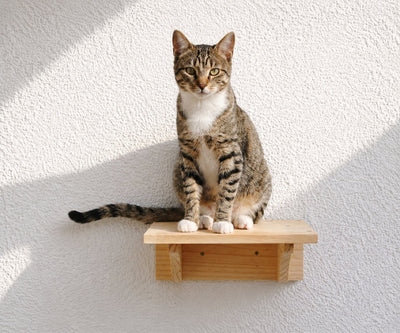 Nekko Shelf