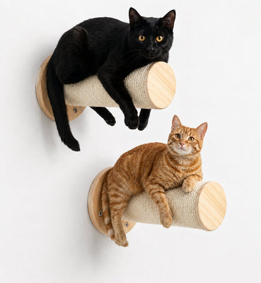 Nekko Duo